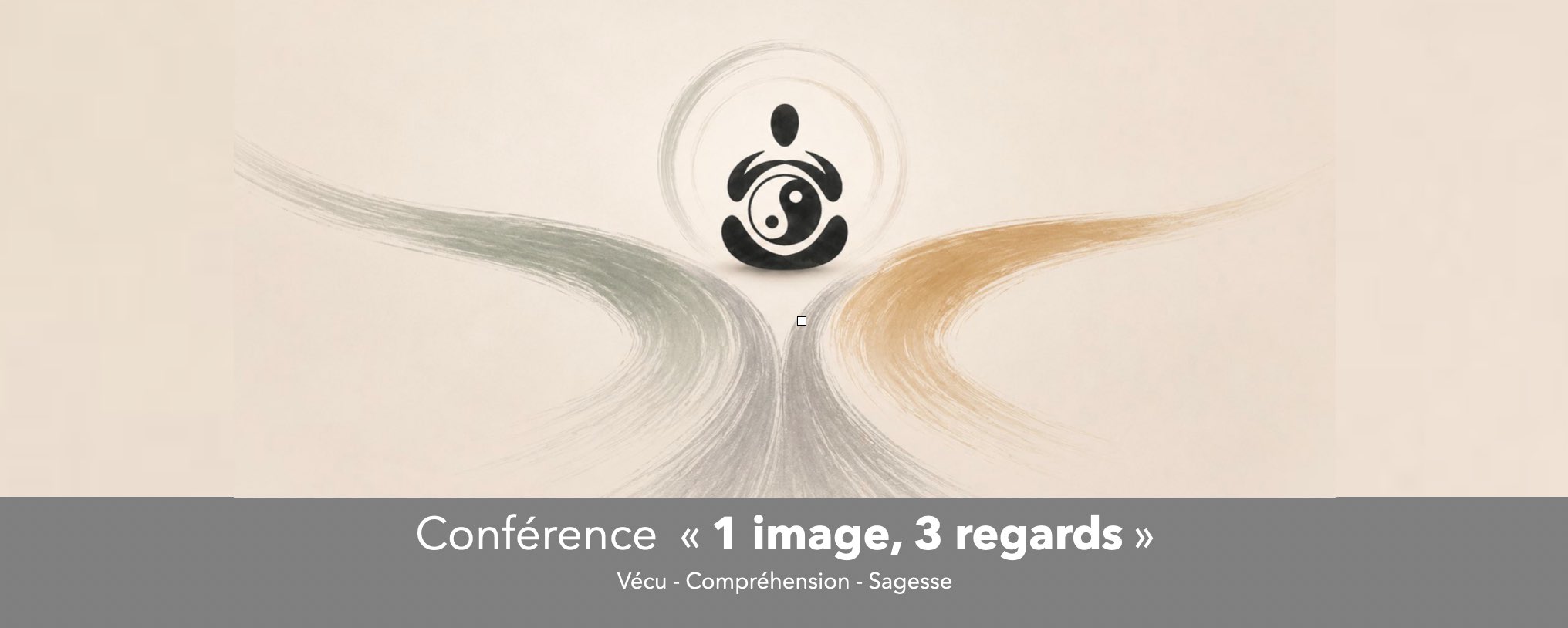 Cycle de conférences "1 image, 3 regards", Harmonie Croissance Conseil, Christelle Hauteville-Chadorla